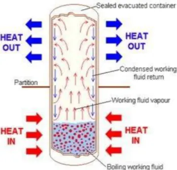 Figure 1.11.  Schematic diagram of a thermosiphon in a closed tube. 