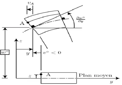 Figure  2.5: Forme déformée (plan (y, z)) 