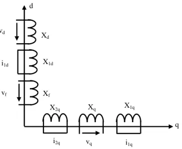 Figure II.6 : Représentation de la machine synchrone sur les axes de Park-gariov