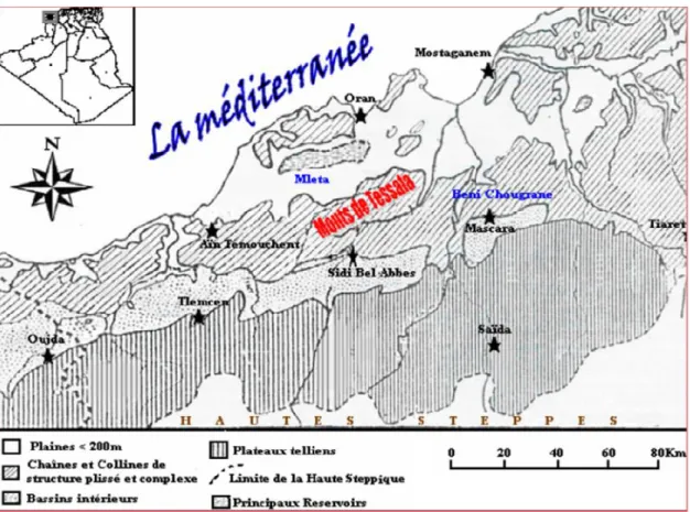 Figure 11 : Position géographique des monts de Tessala (in Charif, 2001).
