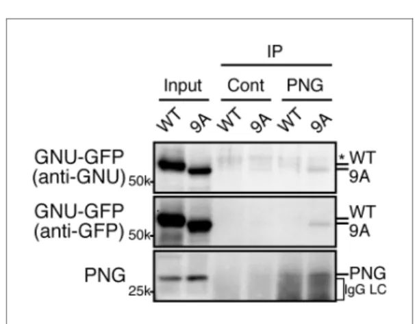 Figure 4 continued