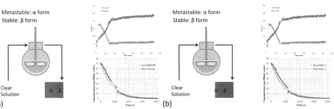 Figure  2.8.  Estimating  the polymorphism  in MSMPR  crystallization  using  batch  dynamic profile:  (a)  small  residence  time and  (b)  long residence  time  of the  fluid element