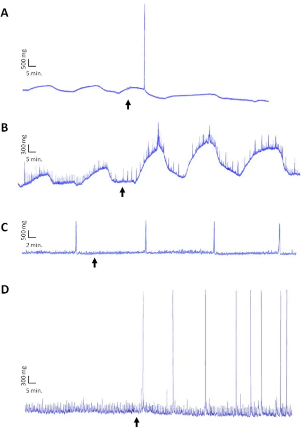 Figure 5. Bio-activity of synthetic b2 and a3 peptides. b2-induced contraction on (A) female gill and (B) penis from a threshold of 10 28 M