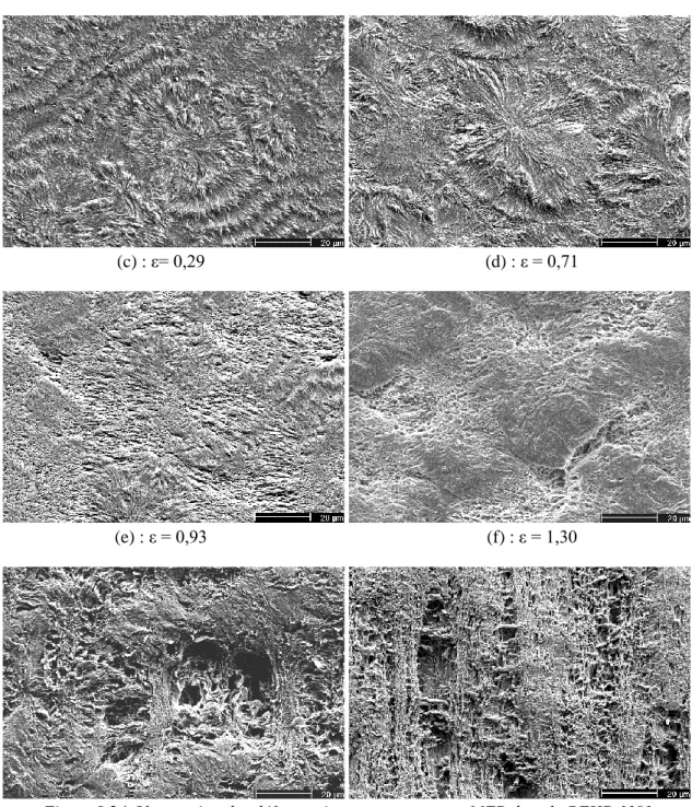 Figure I-24 Observation des défauts microstructuraux par MEB dans le PEHD [19] 