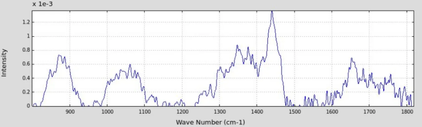Figure  1.  A  Raman  spectrum  acquired  on  a  section  of  a  clear-cell  carcinoma