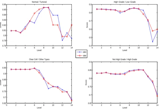 Figure 2: Inuene of a wavelet transform: Classiation sore after a Daubehies 3