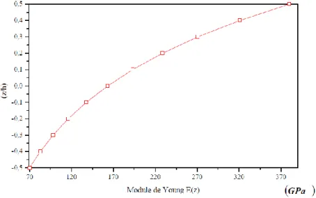 Figure II.13 : Variation du module de Young dans une plaque E-FGM 