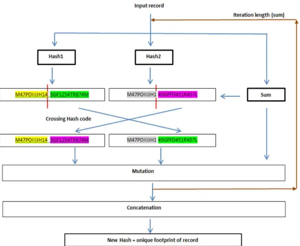 Table  3.3)  dont  le  code  patient  est  égal  à  1113483,  l a  somme  linéaire  =  1113521,  lenght( Linear sum( 1113521 ) )=7 et les deux codes haches de type MD5 et SHA1 (Table  3.5)