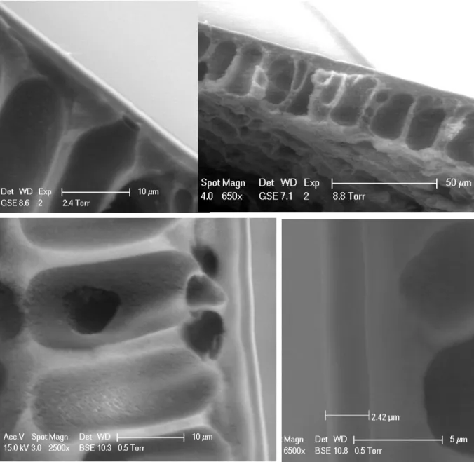 Figure  3.3.  Environmental  scanning  electron  microscopy  (ESEM)  images  of  cross  sections  of  a  thin  film  composite  membranes  comprising  g-PEO  comb  coatings  on  an  asymmetric  porous   PAN-400  ultrafiltration  membrane  using  (top)  10k
