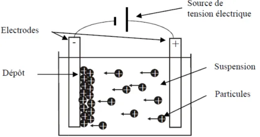 Figure I.12: Représentation schématique de la technique de dépôt par électrophorèse.