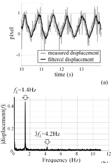 Figure 6:  (a) zoom on the displacement evolution;  