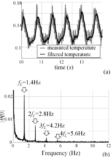 Figure 7: (a) zoom on the temperature variation evolution; 