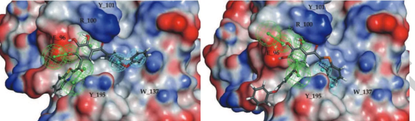 Fig. 11  Manual docking of the pharmacophore model , superimposed with two poses of TM- TM-179 obtained by classical docking, in head-to-tail orientation (left and right)