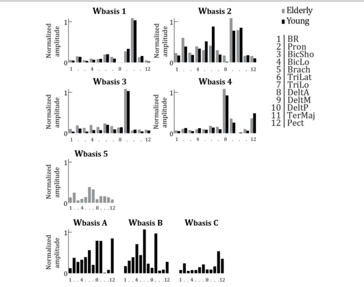 FIGURE 5 | Averaged synergy activation coefficients (W basis ), replotted from Figure 4 (older adults, gray bars) and replotted from Vernooij et al