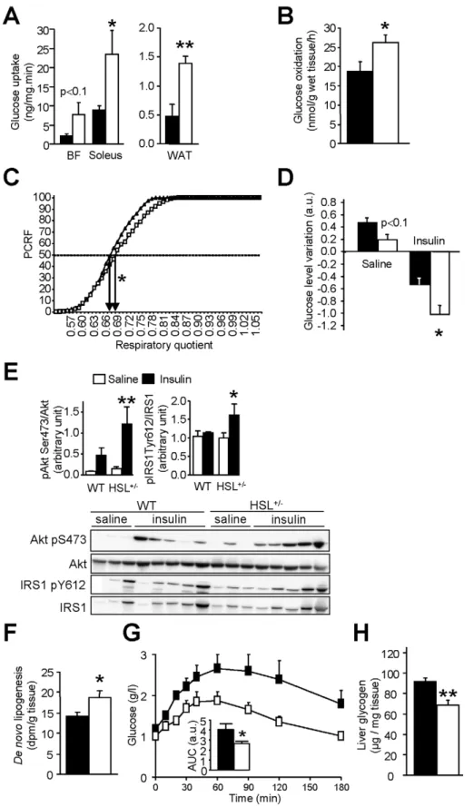 Figure 7. Glucose metabolism and insulin sensitivity in mice with reduced HSL activity