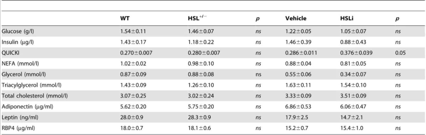 Figure 4. WAT inflammation in 12-wk HFD-fed HSL +/2 and WT mice. (A) Macrophage (CD45/F480/CD11b triple positive cells) number per milligram of WAT assessed by flow cytometry