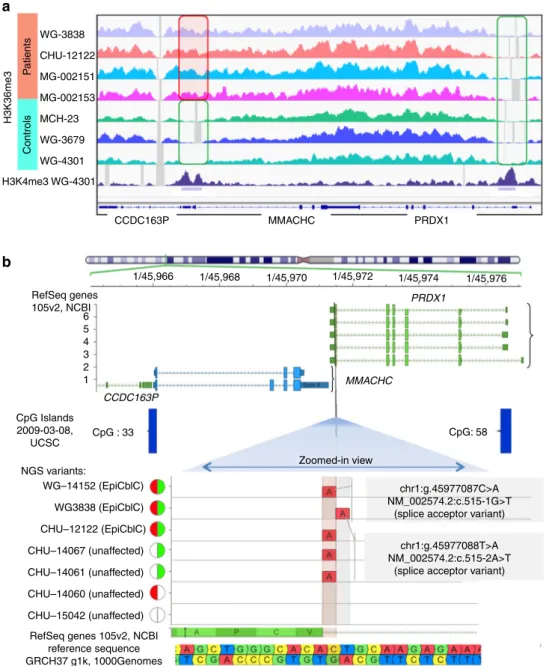 Fig. 4 The MMACHC epimutation is associated with a H3K36me3 chromatin mark in the promoter and a mutation in the PRDX1 adjacent gene