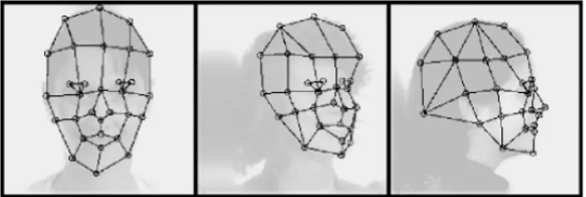 Fig. 2.4-  La représentation des visages par graphe rectangulaire  [37] . 