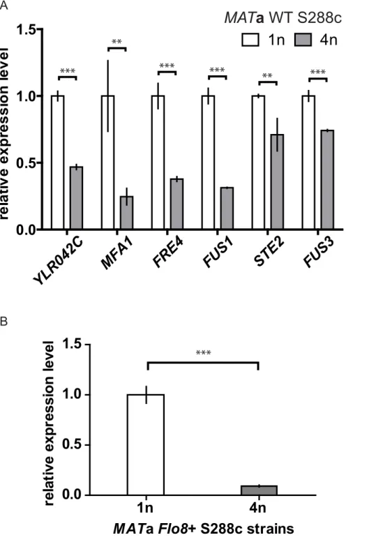 Figure 6. Differential down-regulation of the top-ranking size-repressed genes also occurs in the S288c strain background