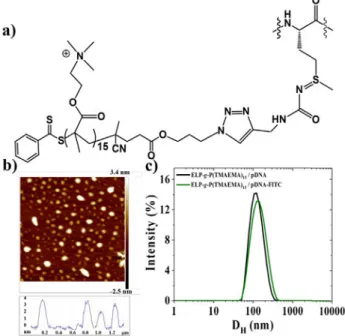 Table 3  summarizes pDNA/ELP-g-P(TMAEMA) X   complexes  (with x = 6, 9 and 15) information determined through DLS  measurements (hydrodynamic diameter, D H   and PDI) and  ζ-potential measurements for three different charge ratios (5,10  and 23), and throu