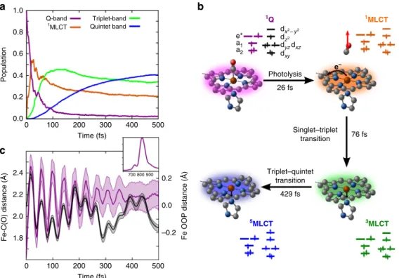 Fig. 1 Photodynamics of photolysis and spin-crossover. Quantum photodynamics of heme – CO complex during the ﬁ rst 0.5 ps, with initial conditions averaged over 10 molecular dynamics snapshots