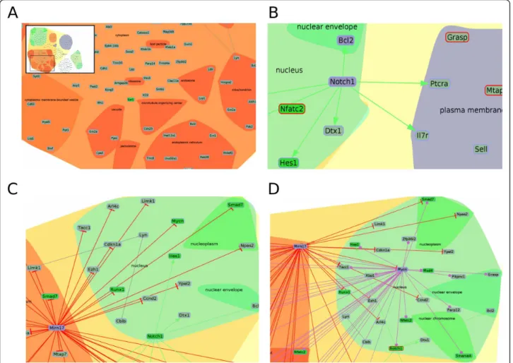 Figure 2 The InteractomeBrowser plugin. (A) A global and zoom-in view of InteractomeBrowser cell-compartment based layout