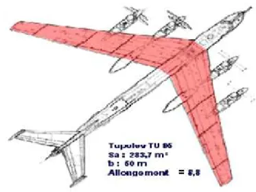 Figure I.5 : Autre type d’allongement de l’aile. 
