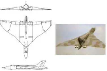 Figure I.22 : L'aile gothique ou en ogive exemple Avaro Vulcan. 