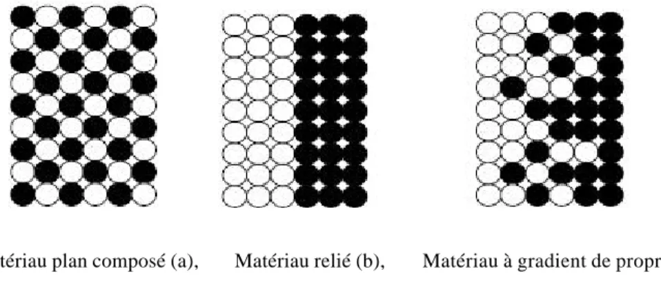 Figure I-5 : La distribution composante des matériaux [Yoshihisa 2004]. 