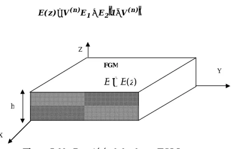 Figure I-11 : Propriétés de la plaque FGM. 