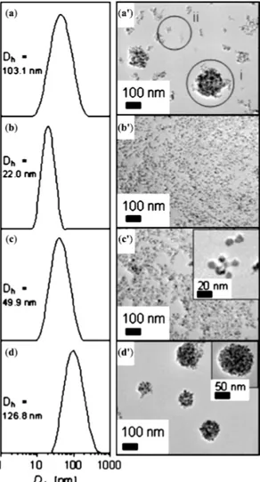 Figure  8.  Size  distribution:  (a–d)  by  dynamic  light  scattering  (DLS);  and  (a'–d')  from  TEM  images