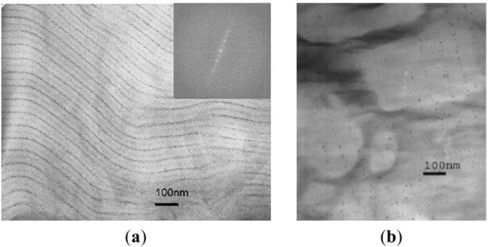 Figure  10.  Electron  micrographs  for  poly(norbornene  methanol)/poly(norbornene  dicarboxylic  acid)  (PNORMEOH/PNORCOOH)  diblock  copolymer:  (a)  stained  with  I 2