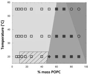Figure 9. Outlined apparent phase diagram for 1.5K/POPC binary system determined by  confocal microscopy and FLIM measurements
