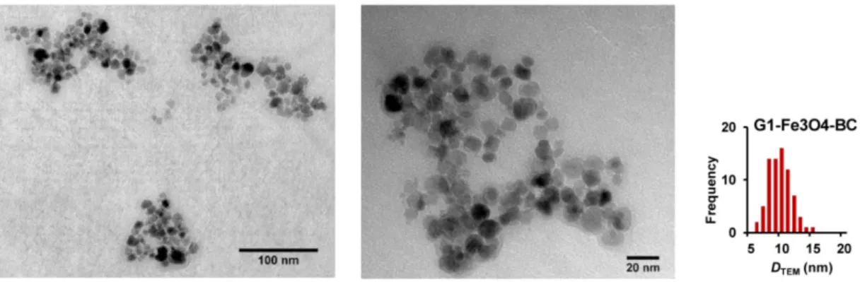 Figure SI-4. TEM images of MPIC micelles showing Fe 3 O 4  crystallites in  G1@Fe 3 O 4 @PAA 27 -b-PHEA 260  f = 0.5