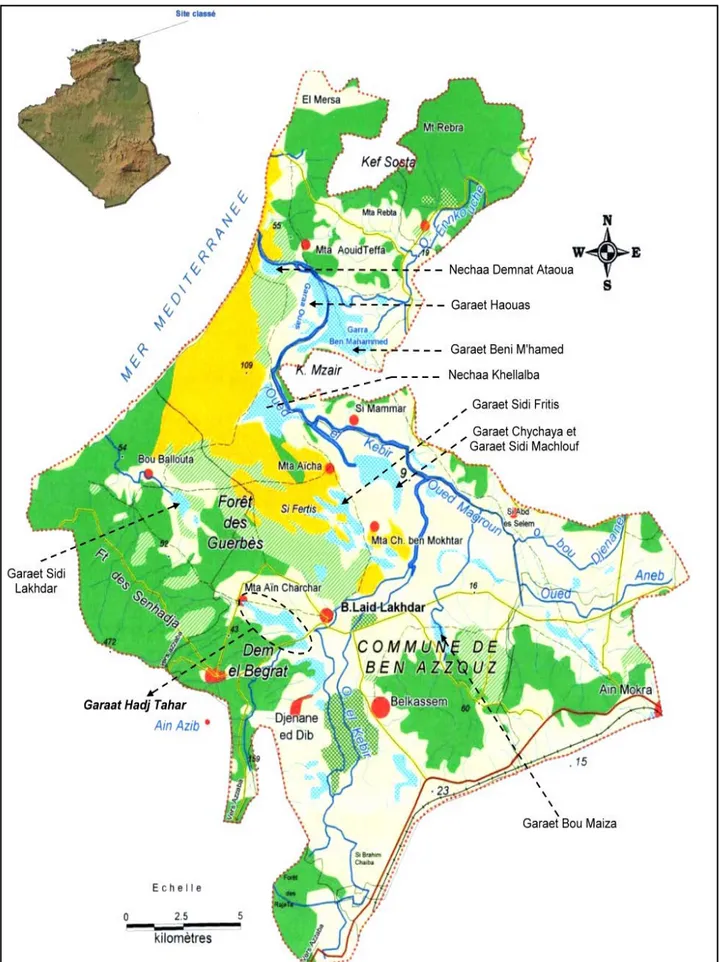 Fig. 1.3 : Les principales zones humides du complexe de Guerbes-Sanhadja  (Metallaoui et Houhamdi 2008)
