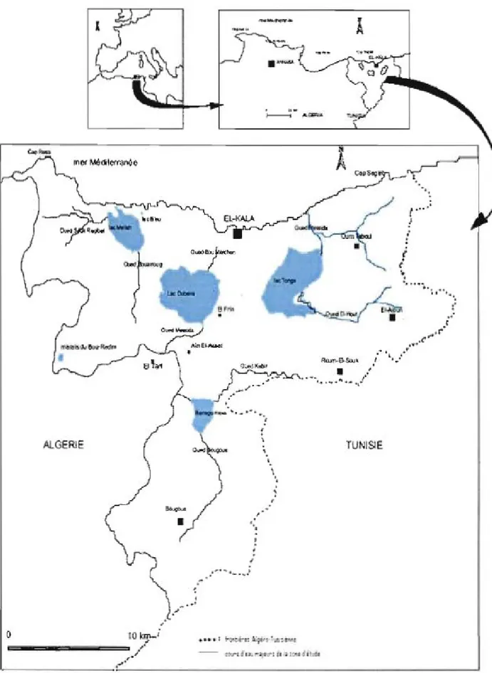 Figure 2.5 : Carte de localisation du Parc National d'El-Kala  (Source: LANDSCAP AMENAGEMENT, 1998) 