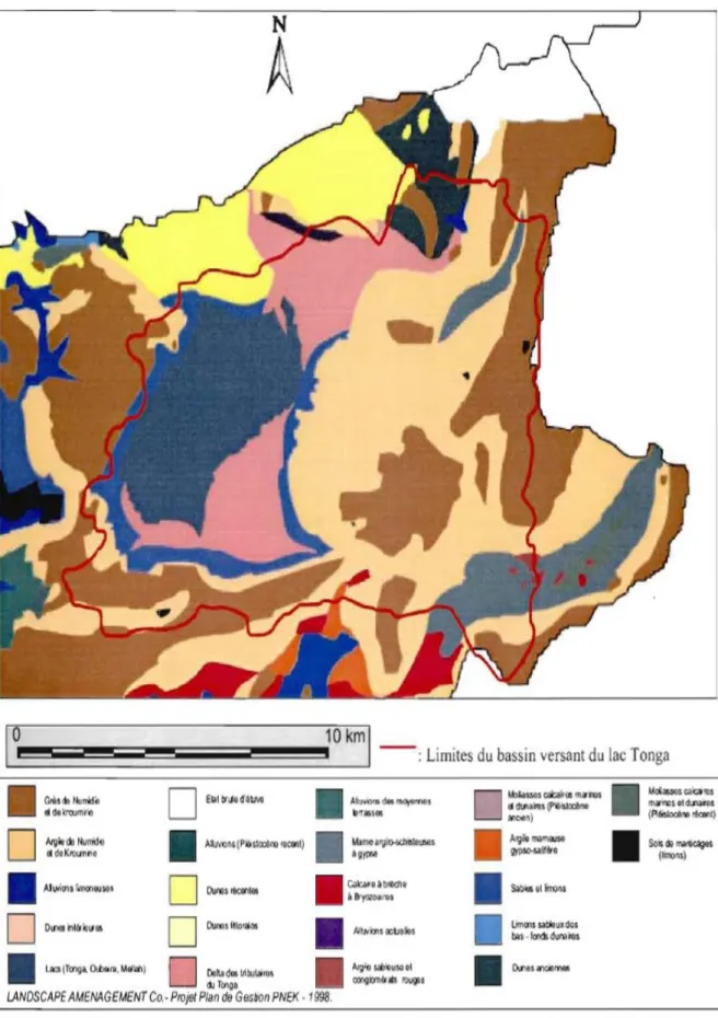 Figure 2.9: Carte géologique du bassin versant du lac Tonga 