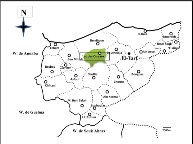 Fig. 2.11. Situation géographique de la commune Lac des Oiseaux  Source: Direction des services agricoles de la wilaya d’El-Tarf 