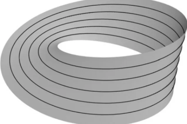 Figure 2.2 – Feuilletage de la bande de Möbius