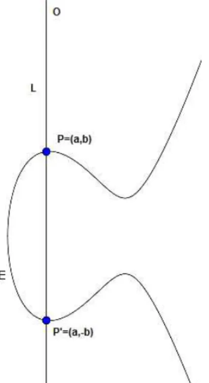Figure 2.4 – La ligne L traversant P et P ′