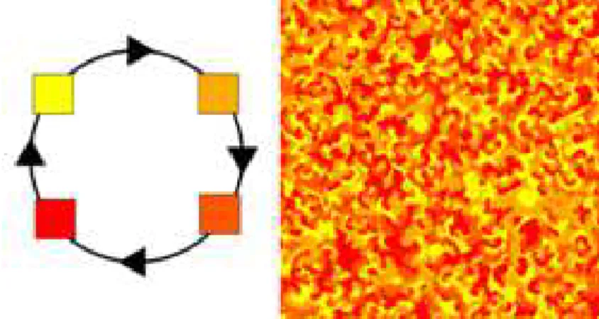 Figure 3.1 – Exemple d’un automate cellulaire.
