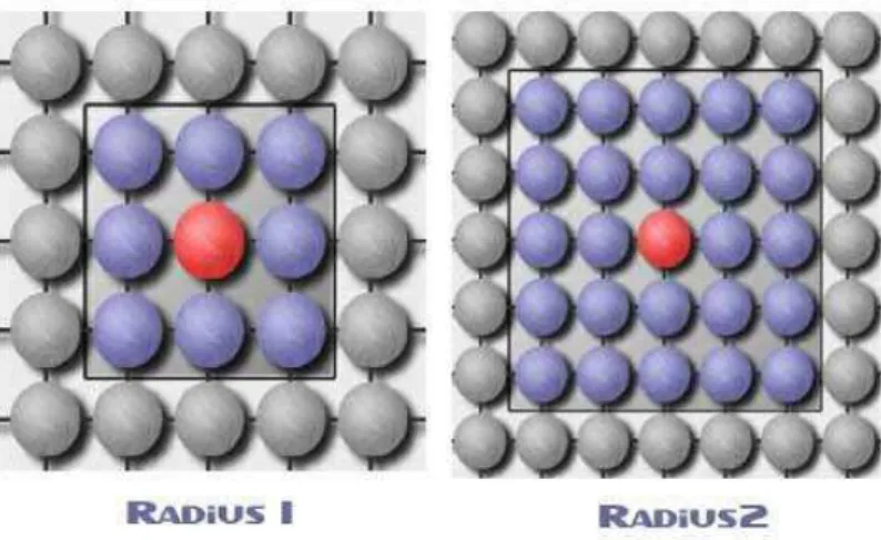 Figure 3.3 – Le voisinage d’une cellule.