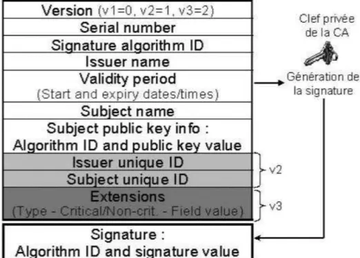 Figure I. 16 - Structure d’un certificat X.509  3.2.7.2. La tierce de confiance (Autorité de Certification) 