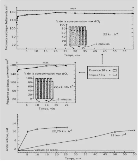 Figure 3. - Consommation d’oxygène, fréquence cardiaque et lactatémie au cours de deux exercices  intermittents 20s-10s courus respectivement à 22km.h -1  et 22,75 km.h -1  (Karlson et coll, 1967)