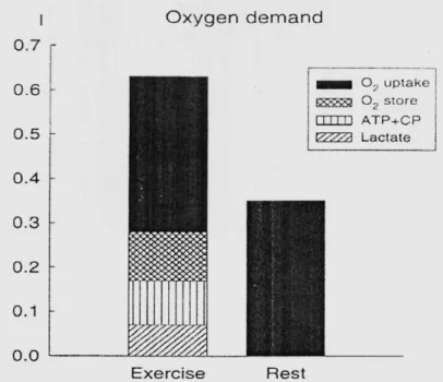 Figure 14. - Contribution énergétique au cours d'un exercice intermittent de type 15s-15s, en litre (L) d'oxygène  (Essén et coll, 1978)
