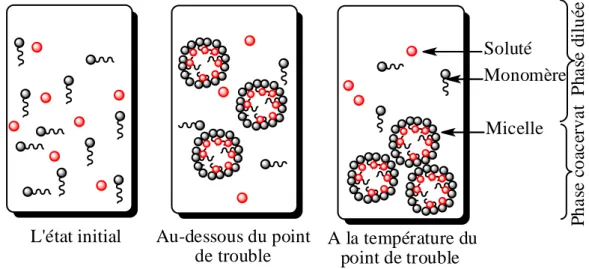 Figure I.5. Présentation schématique du phénomène de micellisation et extraction par point  de trouble par un surfactant non ionique