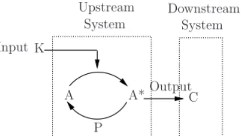 Fig. 5. A phosphorylation cycle is a protein modification mechanism in which an inactive protein A is converted by a kinase K to an active form A ∗ , which is converted back to A by a phosphatase P.