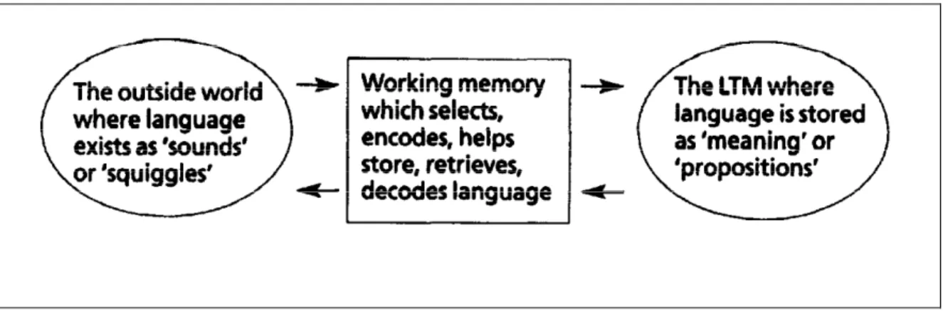 Figure 2.2 Cognitive processes (E. Macaro, 2001: 22) 
