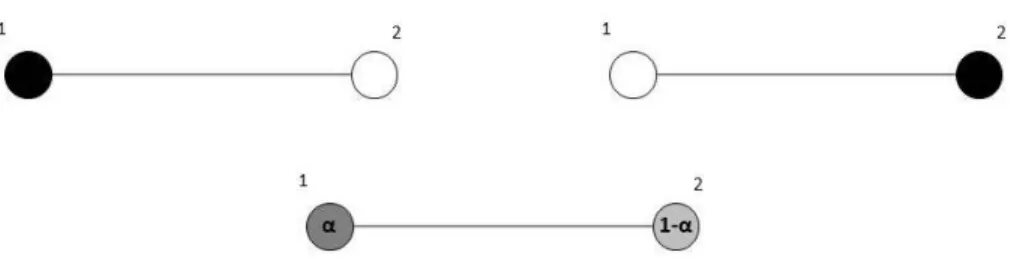 Figure 1: The pair network. Upper left and right panels: circles in black represent agents playing action 1 while white circles represent agents playing action 0; Lower panel: