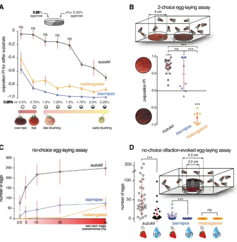 Figure 2. Changes in Mechanosensory and Chemosensory Systems Underlie the  Evo-lution of Oviposition Site Preference (A)  Two-choice  oviposition  assay  for  substrate  stiffness  (schematic  depicted  above  the  graph)